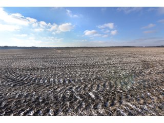 Property photo 36 - MAJOR, HIGH QUALITY LAND AUCTION - 346+/- ACRES OFFERED IN 8 TRACTS IN JACKSON COUNTY, INDIANA
